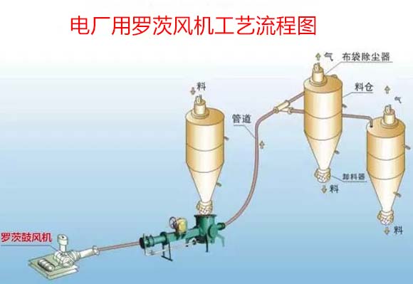 電廠用羅茨鼓黑白丝国产水蜜桃案例