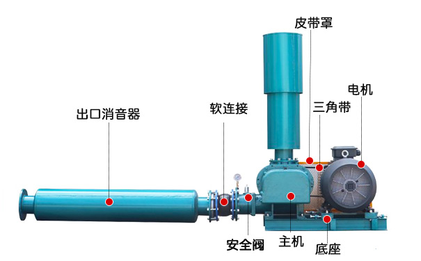 三葉羅茨鼓黑白丝国产水蜜桃(圖3)