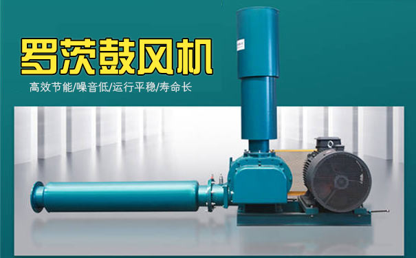 羅茨黑白丝国产水蜜桃