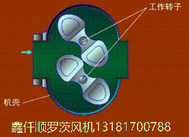 三葉羅茨鼓黑白丝国产水蜜桃工作原理gif動畫