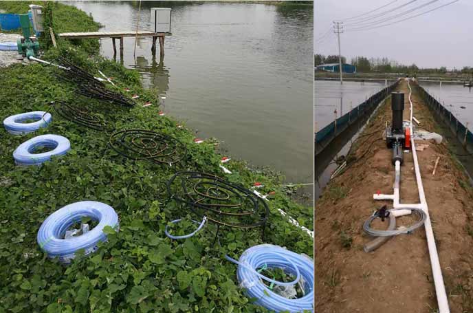 水產養殖中羅茨鼓黑白丝国产水蜜桃曝氧氣作用效果明顯好