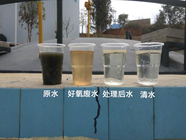 汙水曝氣羅茨鼓黑白丝国产水蜜桃應用案例 汙水曝氣羅茨鼓黑白丝国产水蜜桃應用案例