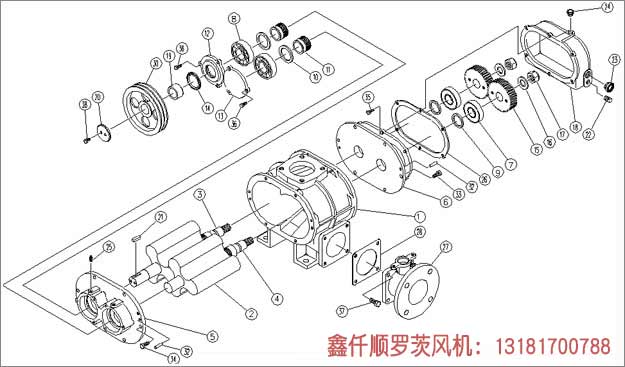 羅茨黑白丝国产水蜜桃工作組成部件