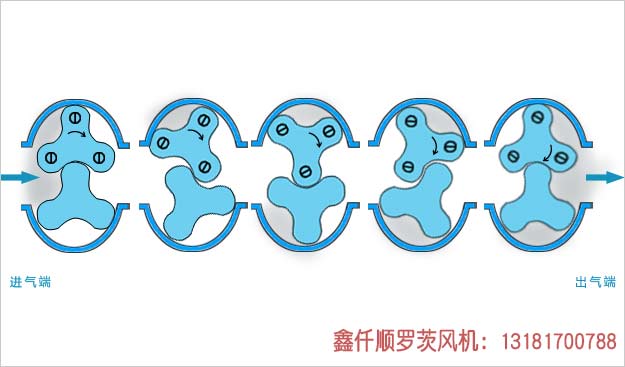 羅茨黑白丝国产水蜜桃工作原理