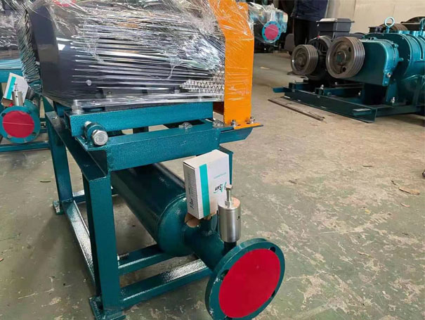 密集型羅茨鼓黑白丝国产水蜜桃 發貨江蘇xqssr50密集型羅茨鼓黑白丝国产水蜜桃2台(圖2)
